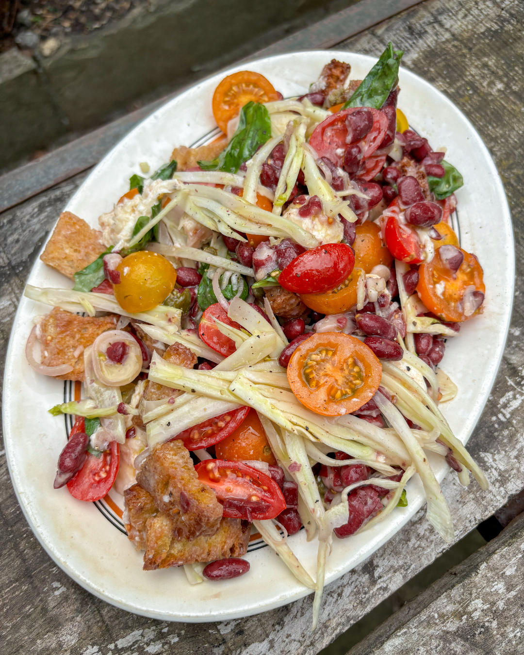  bean-recipe-red-bean-summer-panzanella-boldbeanco 