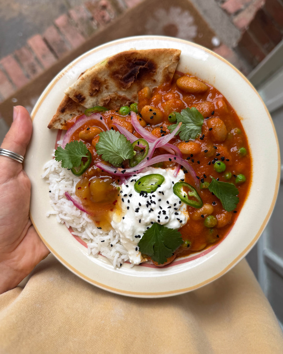  bean-recipe-masala-baked-bean-bowl-with-cottage-cheese-pickled-red-onions-boldbeanco 