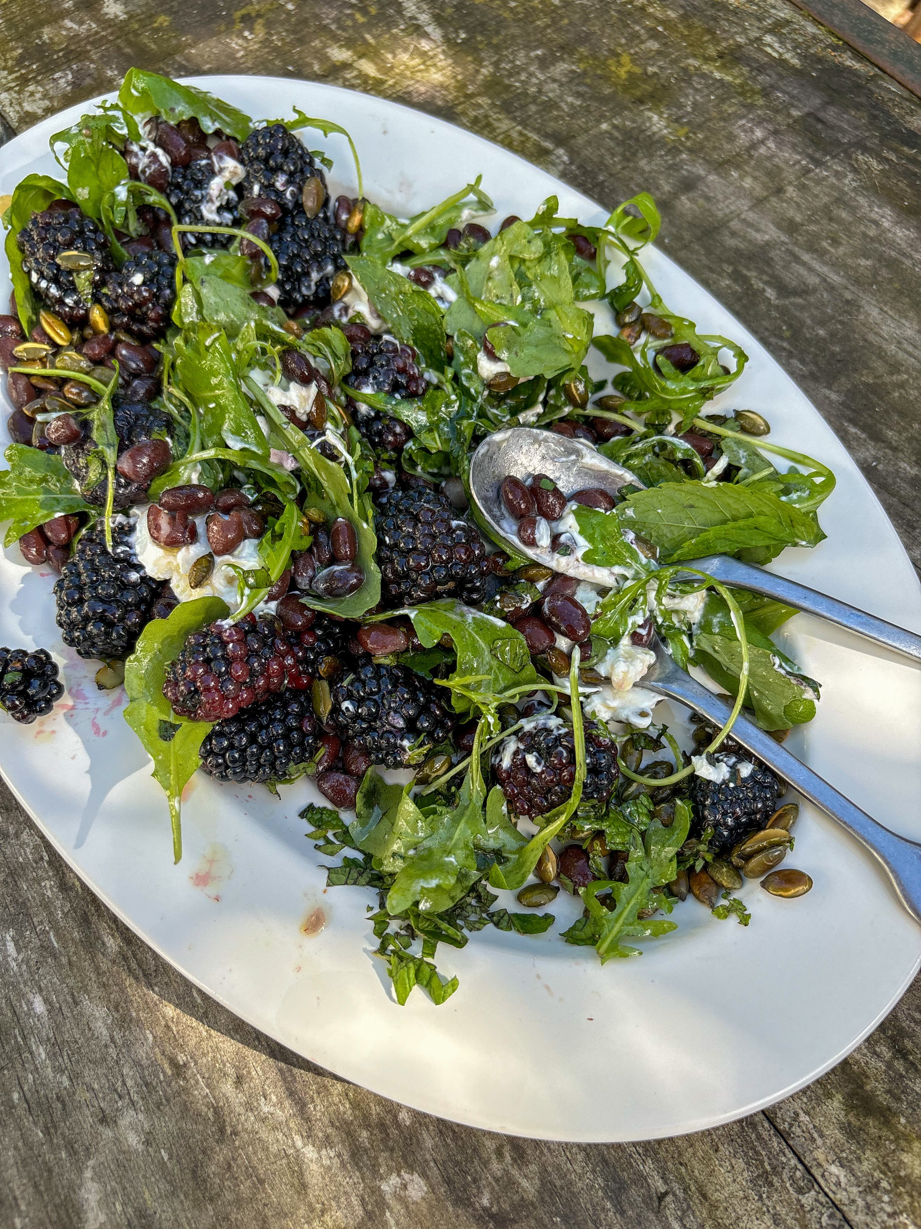 bean-recipe-black-bean-blackberry-goats-cheese-salad-boldbeanco