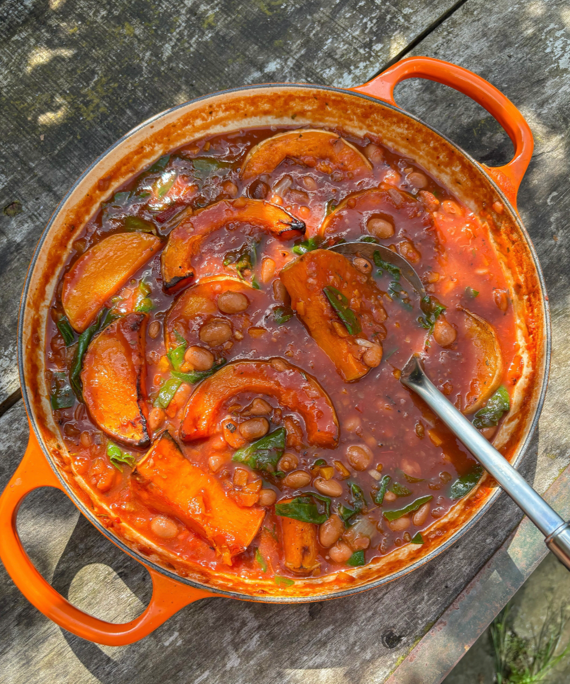 Borlotti Bean, Squash + Chard Stew