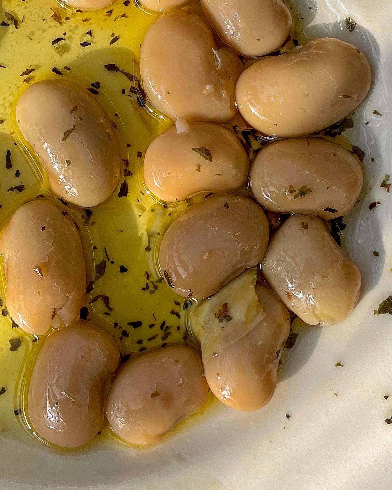 ALL THINGS: GUT HEALTH