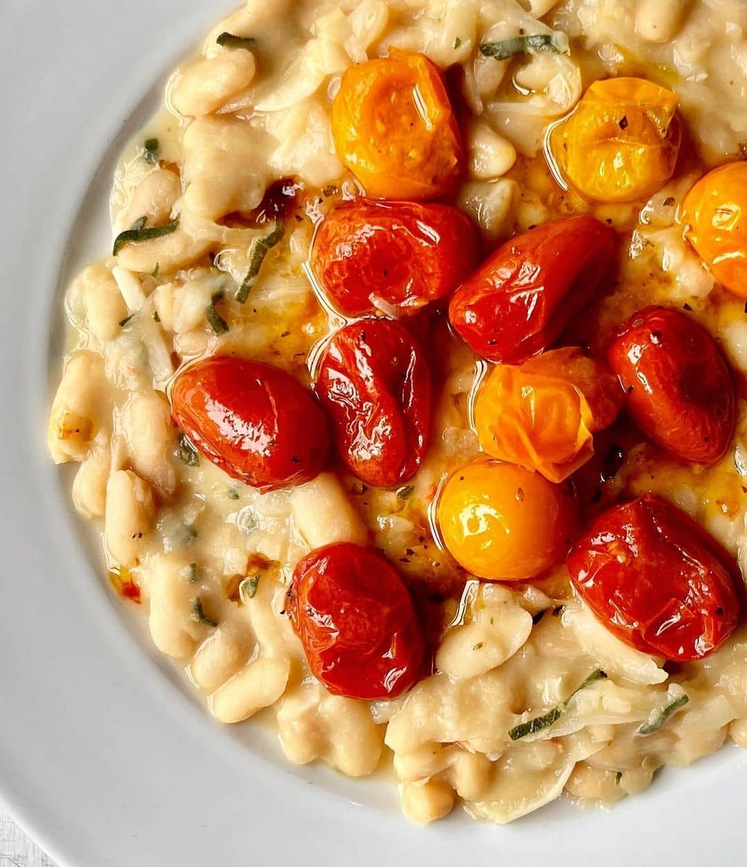 Cannellini Beans with Sage + Roasted Tomatoes Bold Bean Co